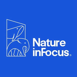 Nature inFocus