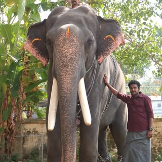 VISHAK THIRUMULLAVARAM