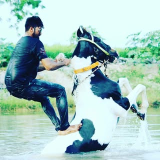 Arif Sappa