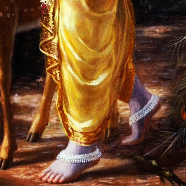 Samiksha Salvi 