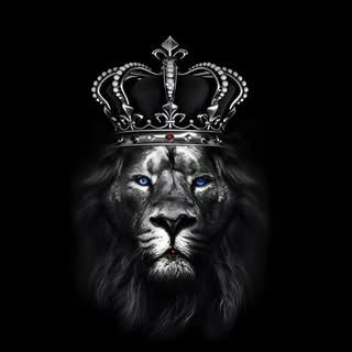 ATTITUDE | MOTIVATION