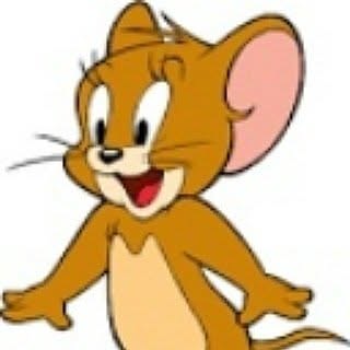 Crazy lover of jerry ❣️