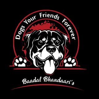 Dogs Your Friends Forever