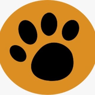 WildTrails Recent Sightings